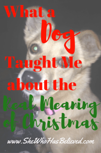 #christmas #nativity