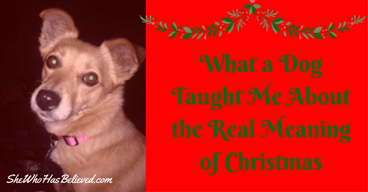 #christmas #nativity